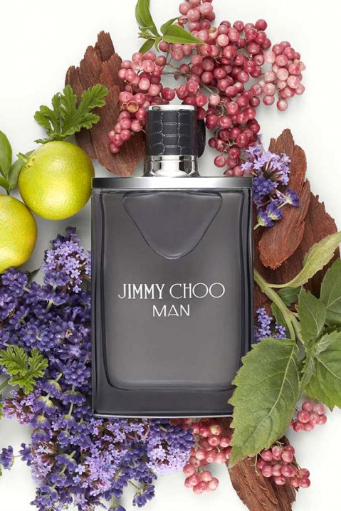 Parfum Jimmy Choo Man EDT 50mIVET.RO - Reduceri de până la -80%