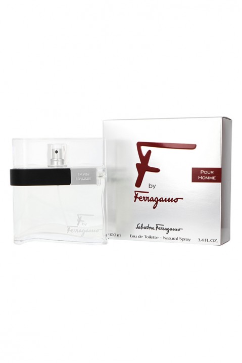 Parfum Salvatore Ferragamo F By Ferragamo Pour Homme EDT 100 mlIVET.RO - Reduceri de până la -80%