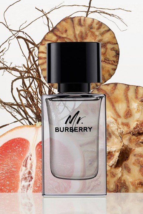 Parfum Burberry Mr. Burberry EDT 50 mlIVET.RO - Reduceri de până la -80%