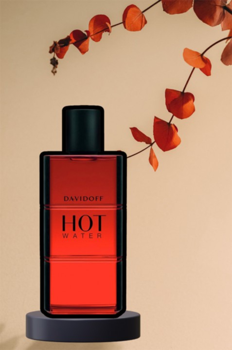 Parfum Davidoff Hot Water EDT 110 mlIVET.RO - Reduceri de până la -80%