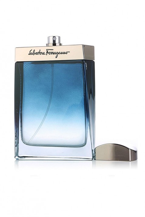 Parfum Salvatore Ferragamo Subtil Pour Homme EDT 100 mlIVET.RO - Reduceri de până la -80%