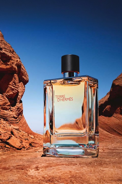 Зarfum Hermes Terre D`Hermes EDT 100 mlIVET.RO - Reduceri de până la -80%