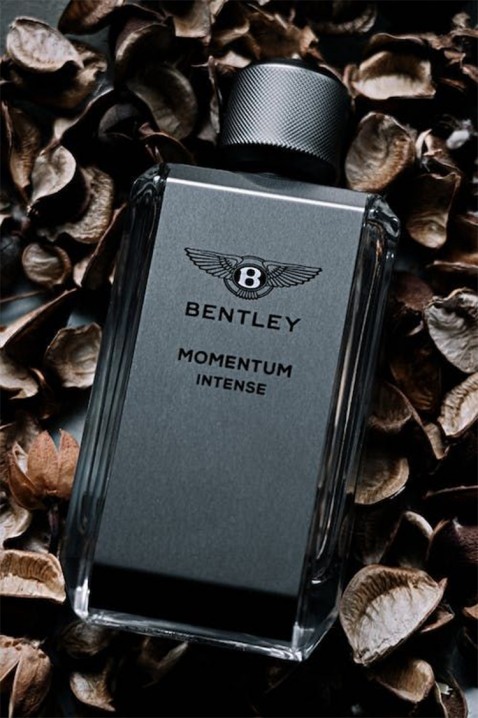 Parfum Bentley Momentum Intense EDP 100 mlIVET.RO - Reduceri de până la -80%